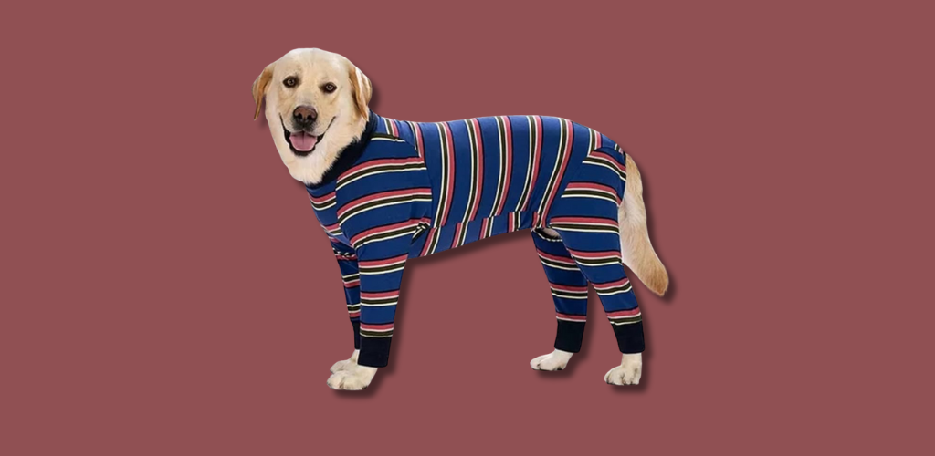 Pet Apparels